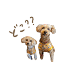 みんな友達だワン！（個別スタンプ：16）