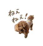 みんな友達だワン！（個別スタンプ：29）