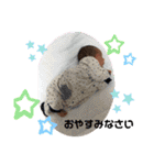 ゆうゆうスタンプ！2（個別スタンプ：31）