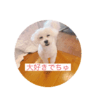 I am No. 1 strong DOG（個別スタンプ：8）