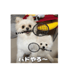 ぺぺ＆ノア（個別スタンプ：6）