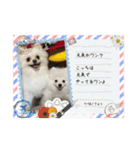 ぺぺ＆ノア（個別スタンプ：13）
