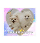 ぺぺ＆ノア（個別スタンプ：16）