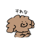 飼い犬のわさび。（個別スタンプ：1）
