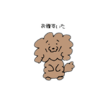 飼い犬のわさび。（個別スタンプ：12）