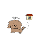 飼い犬のわさび。（個別スタンプ：14）