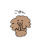 飼い犬のわさび。（個別スタンプ：22）