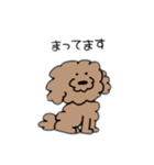 飼い犬のわさび。（個別スタンプ：23）