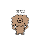 飼い犬のわさび。（個別スタンプ：25）