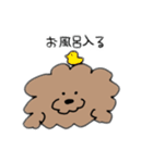 飼い犬のわさび。（個別スタンプ：28）