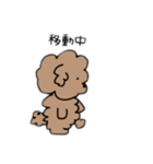 飼い犬のわさび。（個別スタンプ：29）