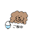 飼い犬のわさび。（個別スタンプ：31）