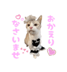 チョッちゃんだらけ（個別スタンプ：8）