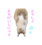 チョッちゃんだらけ（個別スタンプ：9）
