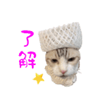 チョッちゃんだらけ（個別スタンプ：10）
