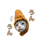 チョッちゃんだらけ（個別スタンプ：15）