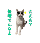チョッちゃんだらけ（個別スタンプ：16）