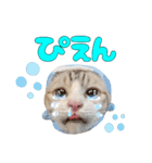 チョッちゃんだらけ（個別スタンプ：17）