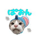 チョッちゃんだらけ（個別スタンプ：18）