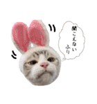 チョッちゃんだらけ（個別スタンプ：22）