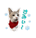 チョッちゃんだらけ（個別スタンプ：25）