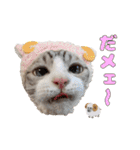 チョッちゃんだらけ（個別スタンプ：30）