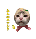チョッちゃんだらけ（個別スタンプ：34）