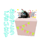 茶トラのざっちゃんとサビのじきちゃん（個別スタンプ：13）