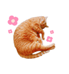 茶トラのざっちゃんとサビのじきちゃん（個別スタンプ：23）