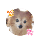 猛犬ばーす2（個別スタンプ：4）