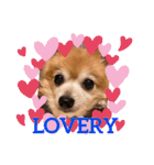 猛犬ばーす2（個別スタンプ：7）