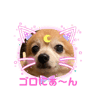 猛犬ばーす2（個別スタンプ：10）