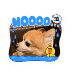 猛犬ばーす2（個別スタンプ：18）