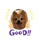 猛犬ばーす2（個別スタンプ：24）