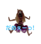 馬リリンと鳩バヤ 日常あいさつ（個別スタンプ：8）