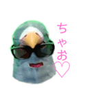 馬リリンと鳩バヤ 日常あいさつ（個別スタンプ：13）