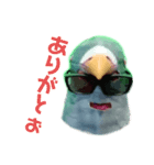 馬リリンと鳩バヤ 日常あいさつ（個別スタンプ：14）