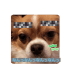 むくのスタンプ！（個別スタンプ：6）