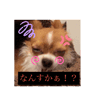 むくのスタンプ！（個別スタンプ：7）