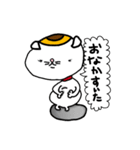 ぷりぷり猫（個別スタンプ：8）