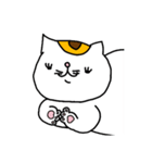 ぷりぷり猫（個別スタンプ：40）