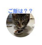 るーにーの日常会話（個別スタンプ：4）