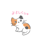 まいにち使えるキャットリボン（個別スタンプ：1）