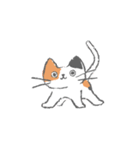 まいにち使えるキャットリボン（個別スタンプ：3）
