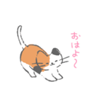 まいにち使えるキャットリボン（個別スタンプ：5）