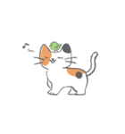 まいにち使えるキャットリボン（個別スタンプ：8）