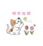 まいにち使えるキャットリボン（個別スタンプ：11）