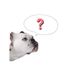 実家のクソ犬（個別スタンプ：6）
