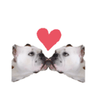実家のクソ犬（個別スタンプ：18）