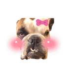 実家のクソ犬（個別スタンプ：27）